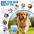 Load image into Gallery viewer, ColEaze Calming Chews for dogs – 200 Soft Chews of Nuclear Chill. Fast-Acting Melatonin + L-Tryptophan + 10 Natural Calming Agents. Destroys Anxiety from Fireworks, Thunder, Separation & Vet Visits. Zero Grain, Zero Sugar, Zero Weakness