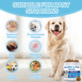 Load image into Gallery viewer, Allergy Chews for Dogs – Ultimate Itch Relief for Skin Allergies, Licking Paws, Hot Spots, Itchy Ears & Seasonal Allergies – Colostrum + Salmon Oil + Probiotics + Omega-3 – Vet-Formulated Anti-Itch Bites – All Breeds & Ages, Salmon Flavor, 200 Count