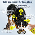 Load image into Gallery viewer, Wild Alaskan Salmon Oil for Dogs and Cats 32 oz Pump – Omega 3 Fish Oil with EPA & DHA Fatty Acids for Skin, Joint, Heart, Brain, Paws Health