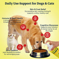 Load image into Gallery viewer, WILD ALASKAN SALMON OIL FOR DOGS & CATS – 32oz BIG BOTTLE – 99.9% PURE FAT – OMEGA 3-6-9 EPA DHA – STOPS ITCHING, SHEDDING & HOT SPOTS IN DAYS – SKIN, COAT, HEART, BRAIN, JOINTS & IMMUNITY – ALL NATURAL – NO FILLERS – VET APPROVED