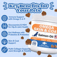 Load image into Gallery viewer, ColEaze Omega Skin & Coat Chews for dogs – 200 Soft Chews of Total Body Domination. Salmon Oil + Glucosamine + MSM + 5-Strain Probiotics + Multi-Collagen. No Greasy Residue. No Grain. No Sugar. Just a Shiny Coat, Strong Joints, and an Iron Immune System