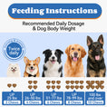 Load image into Gallery viewer, ColEaze Omega Skin & Coat Chews for dogs – 200 Soft Chews of Total Body Domination. Salmon Oil + Glucosamine + MSM + 5-Strain Probiotics + Multi-Collagen. No Greasy Residue. No Grain. No Sugar. Just a Shiny Coat, Strong Joints, and an Iron Immune System