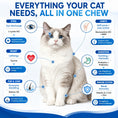 Load image into Gallery viewer, Cat Multivitamin Chews 26-in-1 Lysine & Taurine for Cats with Turmeric MSM Glucosamine, Omega Support Immune, Skin, Joint, Heart,Eyes, Cat Vitamis and Supplements for All Ages & Breeds