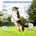 Load image into Gallery viewer, ULTIMATE 40-in-1 Multivitamin Chews for Dogs – STOP Allergies, Shedding & Joint Pain! Probiotics + Omega-3 + Glucosamine + Turkey Tail Mushroom – Immune, Skin, Coat, Heart, Liver, Gut, Hip & Joint Support – 200 Chews, Chicken Flavor