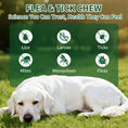 Load image into Gallery viewer, FLEA & TICK KILLER CHEWS FOR DOGS β NO HARSH CHEMICALS, NO COLLARS, NO MESS! Natural 6-in-1 Defense Against Fleas, Ticks, Mosquitoes, Mites & Lice β Promotes Healthy Skin & Shiny Coat β 200 Chicken Soft Chews β All Breeds & Ages