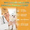 Load image into Gallery viewer, FLEA & TICK KILLER CHEWS FOR DOGS β 200 SOFT CHEWS β NATURAL GARLIC + BREWER'S YEAST + VITAMIN B β NO HARSH CHEMICALS, NO COLLARS, NO SPRAYS β REPELS FLEAS, TICKS, MOSQUITOES, MITES, LICE & LARVAE β ALL BREEDS & AGES β CHICKEN FLAVOR