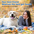 Load image into Gallery viewer, ULTIMATE 40-in-1 Multivitamin Chews for Dogs – STOP Allergies, Shedding & Joint Pain! Probiotics + Omega-3 + Glucosamine + Turkey Tail Mushroom – Immune, Skin, Coat, Heart, Liver, Gut, Hip & Joint Support – 200 Chews, Chicken Flavor