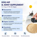 Load image into Gallery viewer, ColEaze Glucosamine for Dogs – The Ultimate 3D Mobility Assault for Joint Pain, Stiffness & Slow Decline. NSAID-Free, Vet-Strength, 60 Sachets of Pure Cartilage Regeneration Power