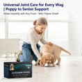 Load image into Gallery viewer, ColEaze Glucosamine for Dogs – The Ultimate 3D Mobility Assault for Joint Pain, Stiffness & Slow Decline. NSAID-Free, Vet-Strength, 60 Sachets of Pure Cartilage Regeneration Power