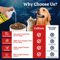 Load image into Gallery viewer, WILD ALASKAN SALMON OIL FOR DOGS & CATS – 32oz BIG BOTTLE – 99.9% PURE FAT – OMEGA 3-6-9 EPA DHA – STOPS ITCHING, SHEDDING & HOT SPOTS IN DAYS – SKIN, COAT, HEART, BRAIN, JOINTS & IMMUNITY – ALL NATURAL – NO FILLERS – VET APPROVED
