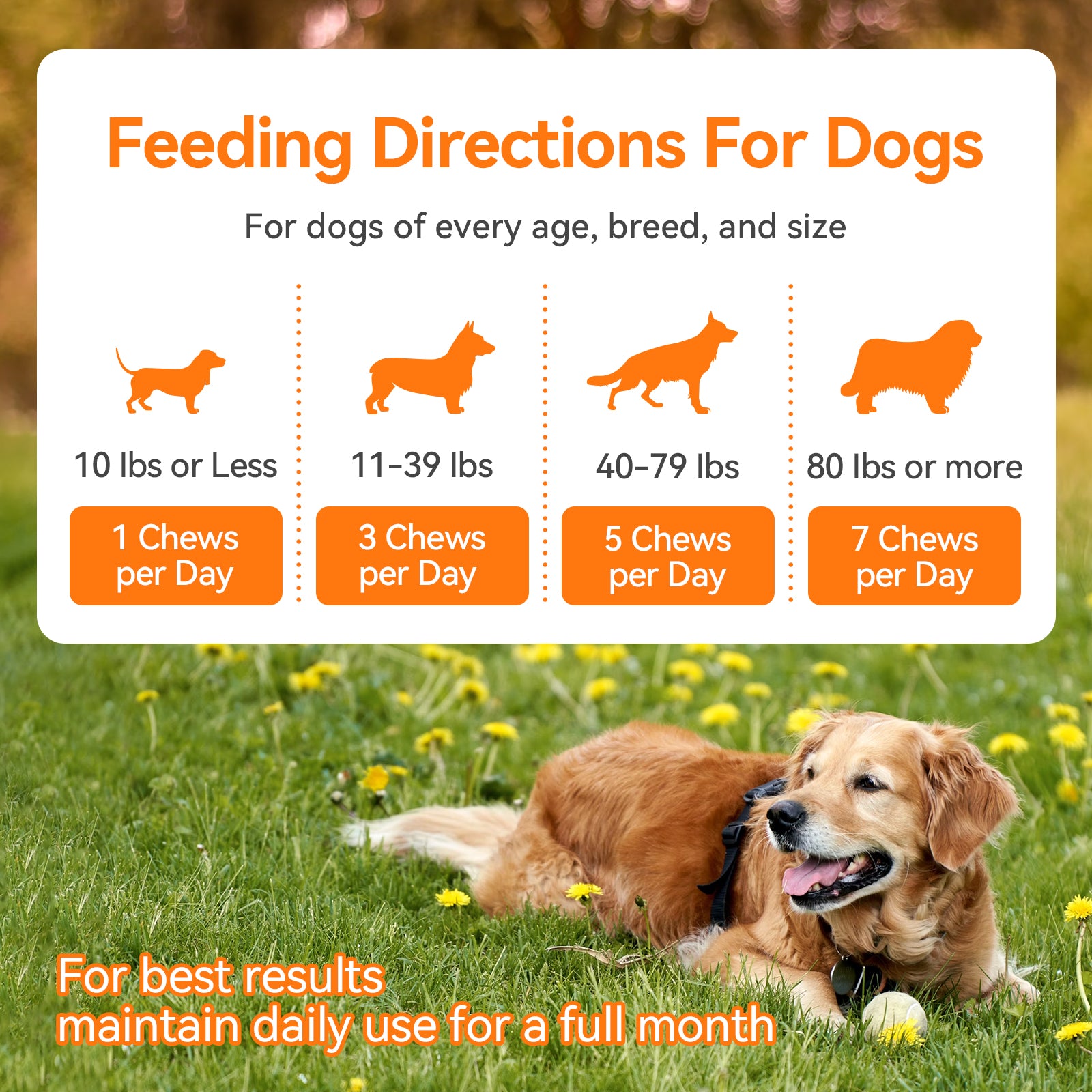 Allergy & Immune Chews for Dogs - Dog Probiotics for Seasonal Allergies - Support Skin & Coat for All Breeds