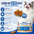 Load image into Gallery viewer, Cat Multivitamin Chews 26-in-1 Lysine & Taurine for Cats with Turmeric MSM Glucosamine, Omega Support Immune, Skin, Joint, Heart,Eyes, Cat Vitamis and Supplements for All Ages & Breeds
