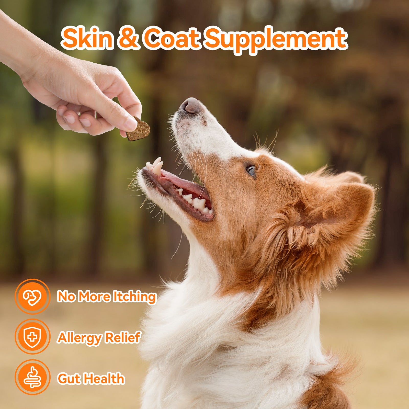 Allergy & Immune Chews for Dogs - Dog Probiotics for Seasonal Allergies - Support Skin & Coat for All Breeds