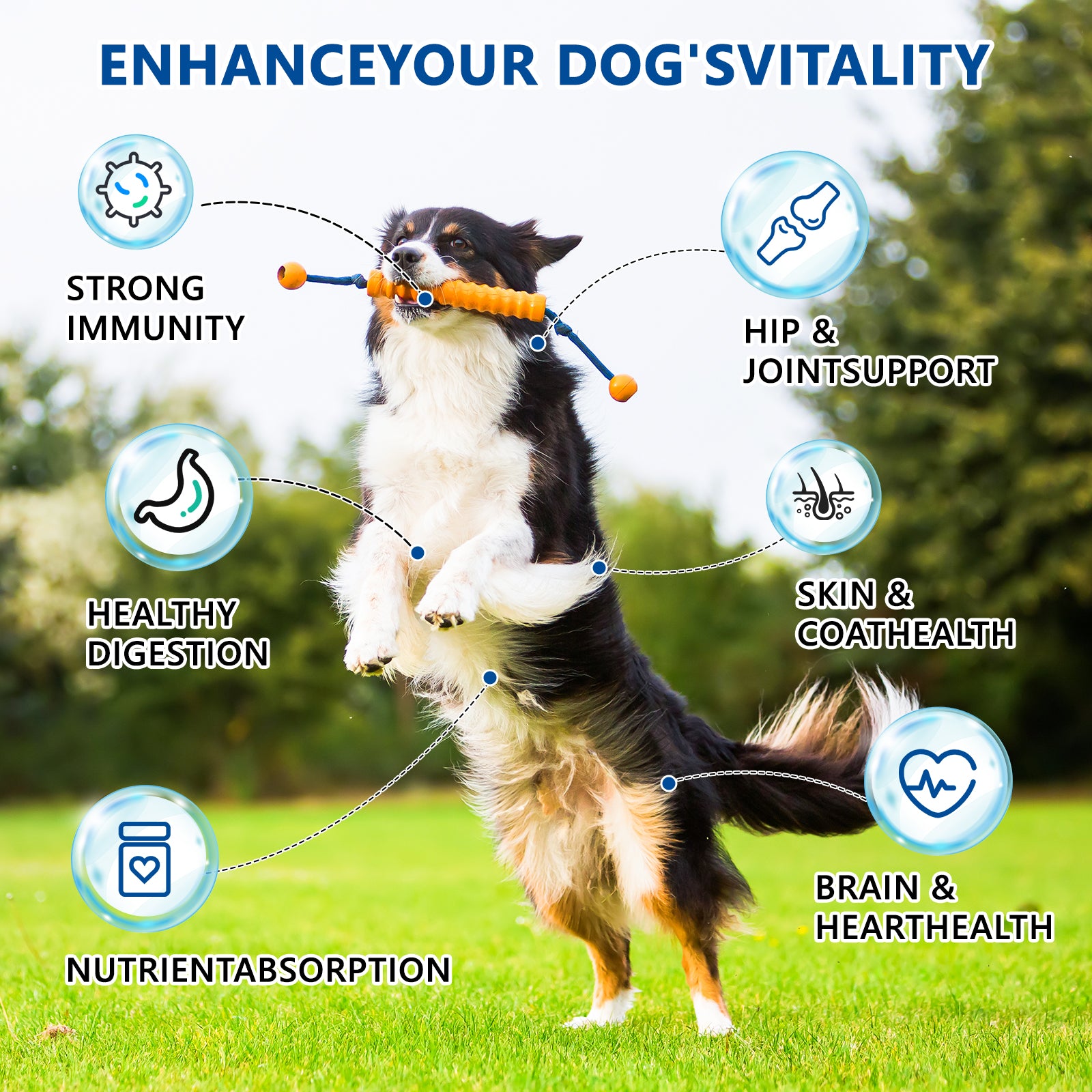 ULTIMATE 40-in-1 Multivitamin Chews for Dogs – STOP Allergies, Shedding & Joint Pain! Probiotics + Omega-3 + Glucosamine + Turkey Tail Mushroom – Immune, Skin, Coat, Heart, Liver, Gut, Hip & Joint Support – 200 Chews, Chicken Flavor