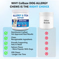 Load image into Gallery viewer, Allergy Chews for Dogs – Ultimate Itch Relief for Skin Allergies, Licking Paws, Hot Spots, Itchy Ears & Seasonal Allergies – Colostrum + Salmon Oil + Probiotics + Omega-3 – Vet-Formulated Anti-Itch Bites – All Breeds & Ages, Salmon Flavor, 200 Count
