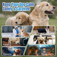 Load image into Gallery viewer, ColEaze Calming Chews for dogs – 200 Soft Chews of Nuclear Chill. Fast-Acting Melatonin + L-Tryptophan + 10 Natural Calming Agents. Destroys Anxiety from Fireworks, Thunder, Separation & Vet Visits. Zero Grain, Zero Sugar, Zero Weakness
