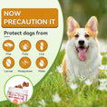 Load image into Gallery viewer, FLEA & TICK KILLER CHEWS FOR DOGS – 200 SOFT CHEWS – NATURAL GARLIC + BREWER'S YEAST + VITAMIN B – NO HARSH CHEMICALS, NO COLLARS, NO SPRAYS – REPELS FLEAS, TICKS, MOSQUITOES, MITES, LICE & LARVAE – ALL BREEDS & AGES – CHICKEN FLAVOR
