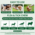 Load image into Gallery viewer, FLEA & TICK KILLER CHEWS FOR DOGS – NO HARSH CHEMICALS, NO COLLARS, NO MESS! Natural 6-in-1 Defense Against Fleas, Ticks, Mosquitoes, Mites & Lice – Promotes Healthy Skin & Shiny Coat – 200 Chicken Soft Chews – All Breeds & Ages

